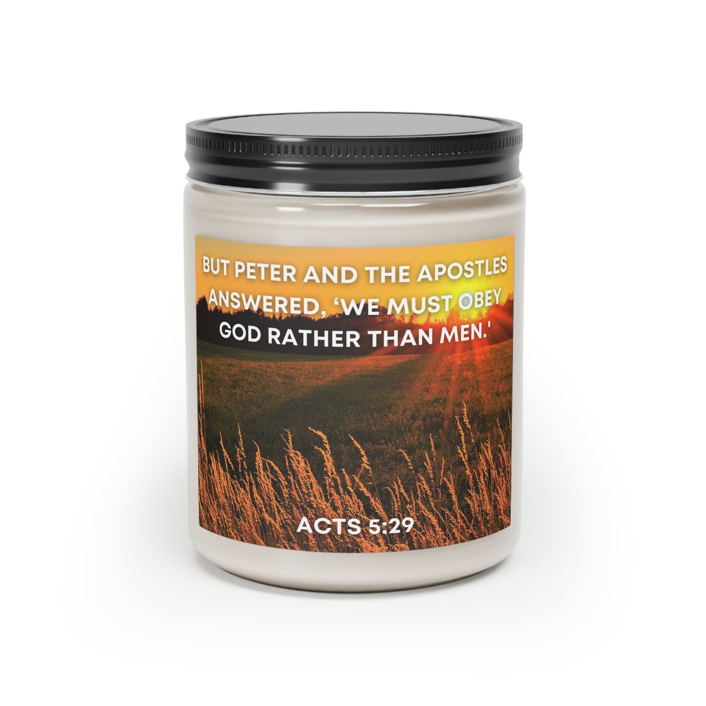 Acts 5:29 - Scented Candle, 9oz