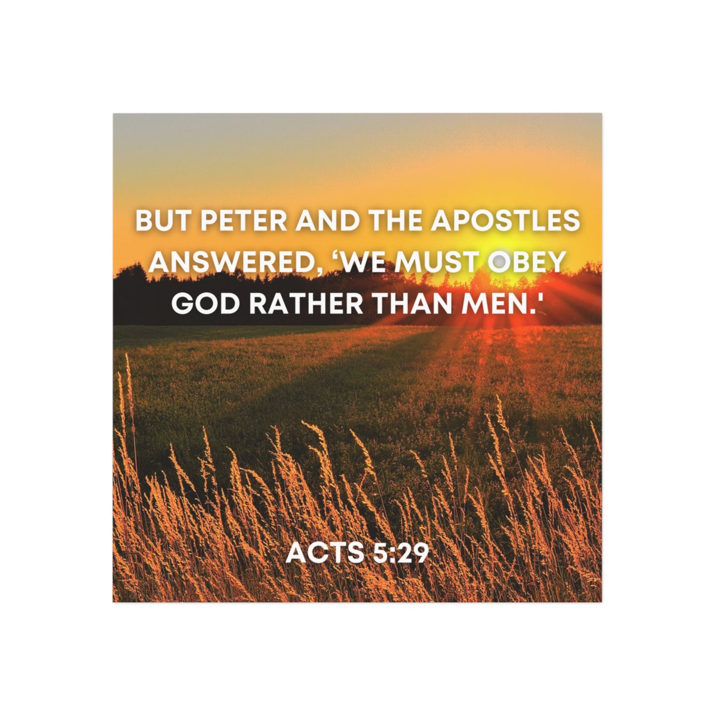 Acts 5:291 - Square Magnet