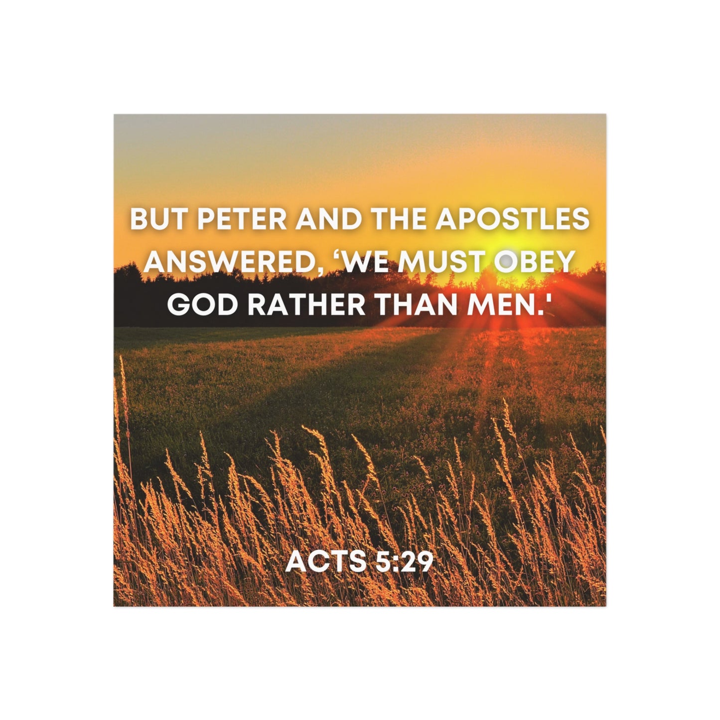 Acts 5:291 - Square Magnet